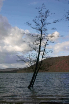 baude.jpg (68688 bytes)