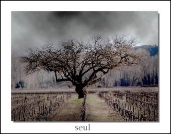 berenguel.jpg (68975 bytes)