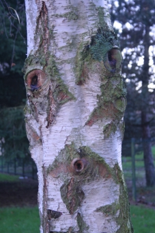 boutss.jpg (81171 bytes)