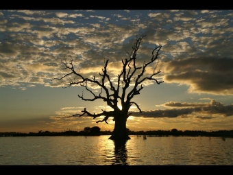 brule.jpg (79532 bytes)