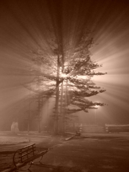 bulteau.jpg (48107 bytes)