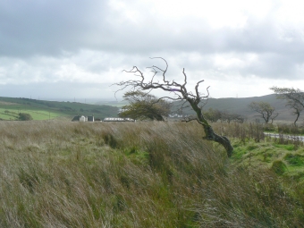 caminade.jpg (71766 bytes)