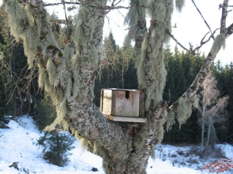 cecile.jpg (97480 bytes)