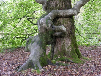 desplats.jpg (120282 bytes)