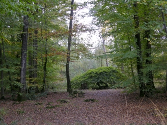 desplats2.jpg (108223 bytes)