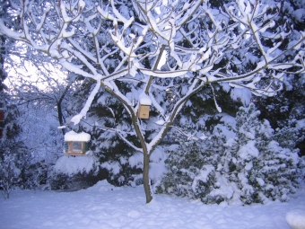 edithf.jpg (112838 bytes)