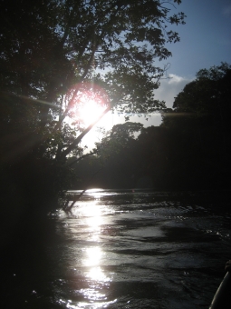 fournier.jpg (71146 bytes)