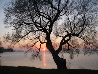 francescas.jpg (94993 bytes)