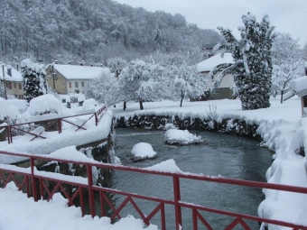 francineb.jpg (87422 bytes)