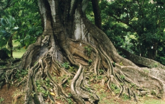 gmartin.jpg (92751 bytes)