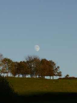 guerard.jpg (57824 bytes)