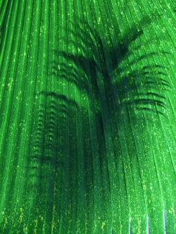 haik.jpg (100673 bytes)