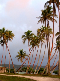 hirigoyen.jpg (85486 bytes)