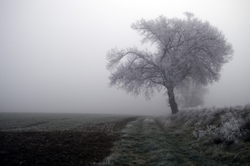 jimpouge.jpg (50162 bytes)