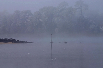 kaya.jpg (45252 bytes)