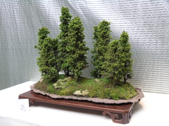 knobloch.jpg (87652 bytes)