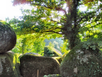 lecam.jpg (117079 bytes)