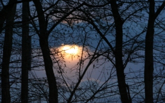 lepelletier.jpg (80748 bytes)