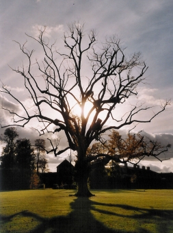 marie_agnes.jpg (87587 bytes)