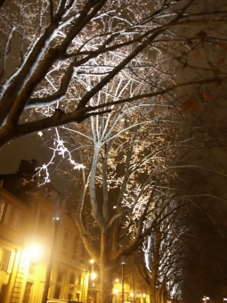 ninot.jpg (94135 bytes)