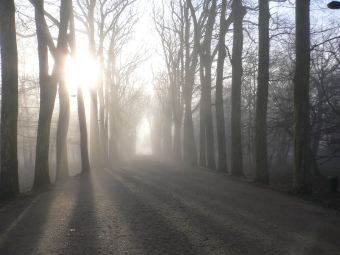 paulmier.jpg (72311 bytes)