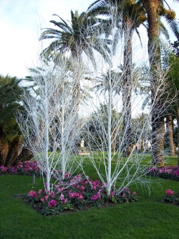 pereira.jpg (111568 bytes)