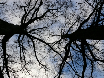 perez.jpg (114646 bytes)