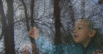 rosette.jpg (63116 bytes)