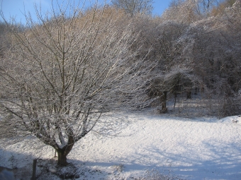 tavelet.jpg (98664 bytes)