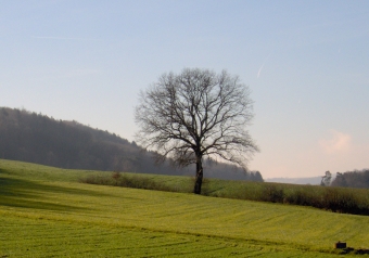 torche.jpg (61241 bytes)