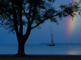 zorore.jpg (70306 bytes)