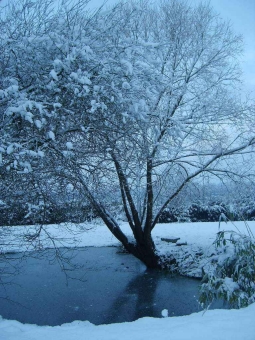 annick.jpg (98381 bytes)