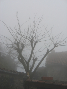 bruant.jpg (54304 bytes)