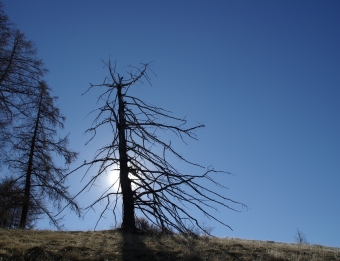 chabant.jpg (69626 bytes)