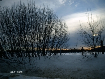 fleur.jpg (83894 bytes)