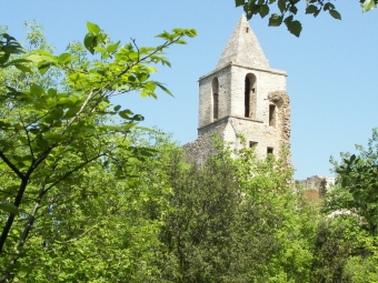 gamet.jpg (106099 bytes)