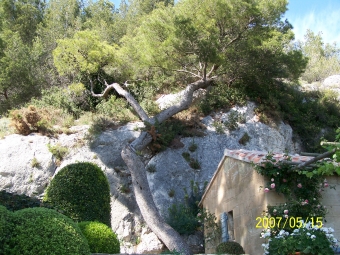 her.jpg (112172 bytes)