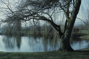 kindler.jpg (90881 bytes)