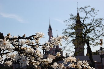 kronbeer.jpg (79458 bytes)