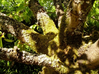 laborde.jpg (127019 bytes)