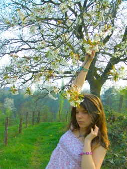 lacroix.jpg (118500 bytes)