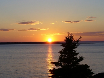 lavoie.jpg (60496 bytes)