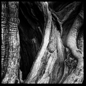 lemarchand.jpg (105452 bytes)