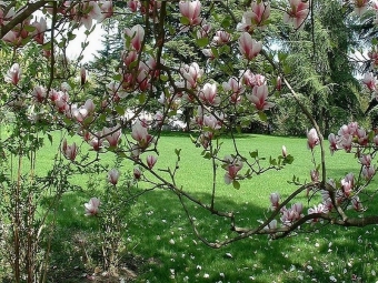 ranou.jpg (128571 bytes)