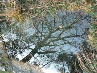 spacek.jpg (126600 bytes)