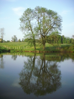 valerie.jpg (78362 bytes)