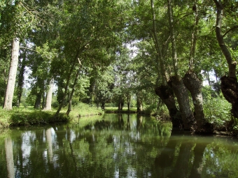 barral.jpg (111707 bytes)