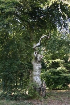 bladier.jpg (93554 bytes)