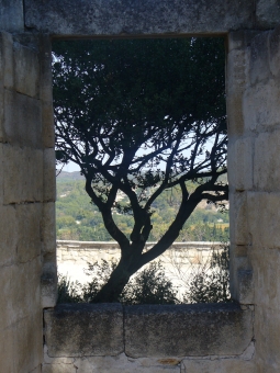 brun.jpg (89224 bytes)