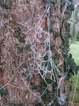 chabroux.jpg (116551 bytes)